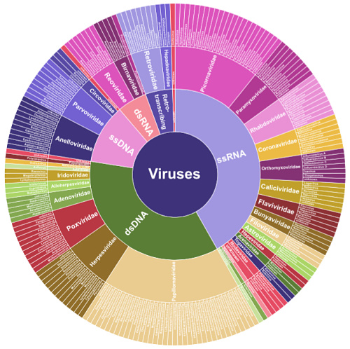 Virome, taken from massgenomics.org