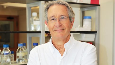 Photo of Professor Heeney