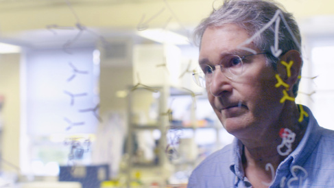 Photo of Prof Jonathan Heeney