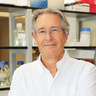 Photo of Professor Heeney