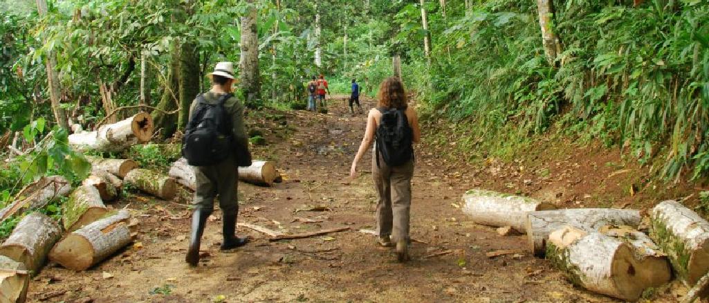 Sample Collection in Sao Tome and Principe