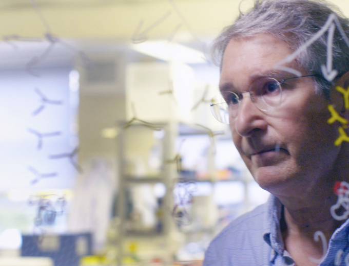 Photo of Prof Jonathan Heeney